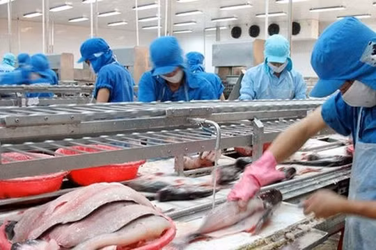 Vỡ kế hoạch năm 2023, Vĩnh Hoàn (VHC) vẫn đặt mục tiêu trả cổ tức năm 2024 tỷ lệ 20%