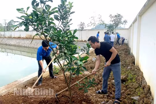 Ngành Y tế Ninh Bình phát động Chương trình trồng mới 1 tỷ cây xanh