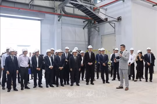 Việt Nam - Phần Lan tăng cường hợp tác, hướng tới mục tiêu phát triển xanh, bền vững