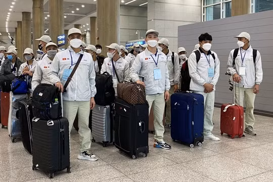 Đề xuất bổ sung nhiều đối tượng được vay vốn đi làm việc ở nước ngoài