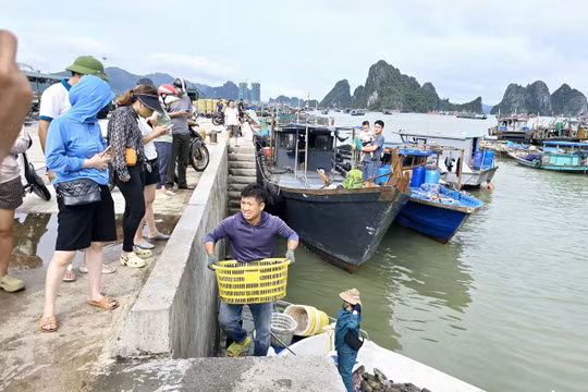 ADB: Việt Nam đã nỗ lực phi thường trong việc ứng phó với thiệt hại do bão Yagi gây ra