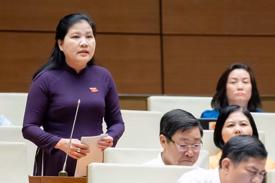 Đảm bảo vai trò chủ đạo của ngân sách trung ương, cải thiện môi trường đầu tư kinh doanh