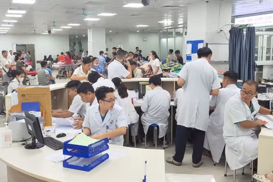 Đâu là những vấn đề y tế mà cử tri quan tâm?