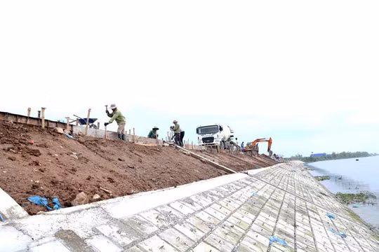 Nhiều hạn chế trong công tác hộ đê qua cơn bão lịch sử
