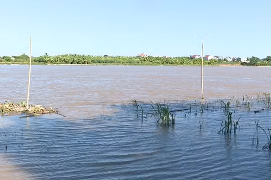 Thái Bình: Chủ động ứng phó, hạn chế thấp nhất thiệt hại do lũ gây ra