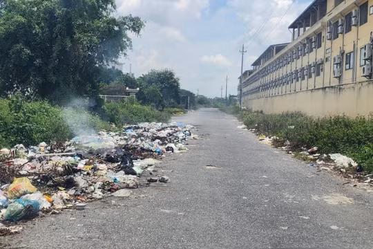 Nhức nhối 'vấn nạn' bãi rác tự phát gây ô nhiễm tại cụm công nghiệp Thị trấn Vũ Thư