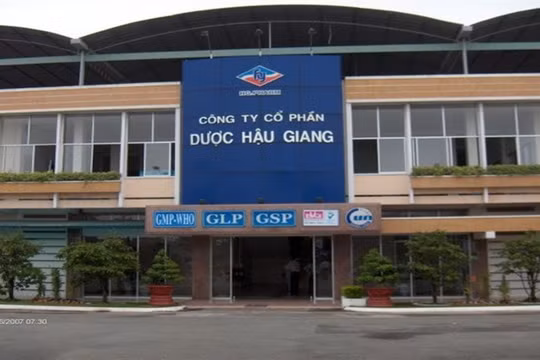 Dược Hậu Giang (DHG) lãi 6 tháng giảm 33%, giữ tiền mặt nhiều liệu còn phù hợp?