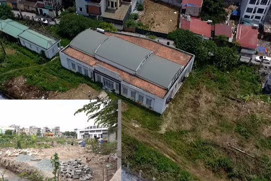 Nam Từ Liêm (Hà Nội): Chợ dân sinh bỏ hoang trở thành nơi chăn gà, vịt