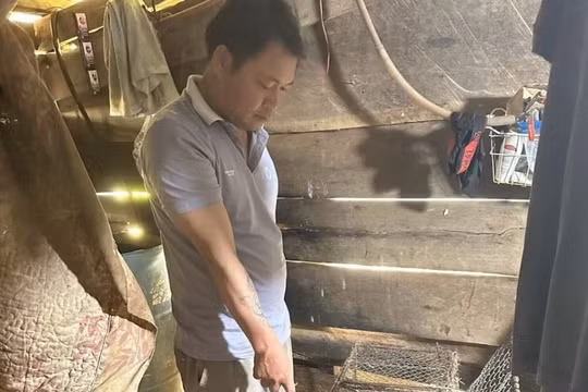 Gia Lai: Tạm giữ đối tượng tàng trữ, buôn bán động vật nguy cấp quý hiếm