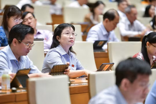 Quốc hội cho phép Đà Nẵng thí điểm thành lập Khu thương mại tự do