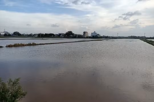 Nam Định: Chủ động ứng phó với biến đổi khí hậu và tăng cường bảo vệ môi trường