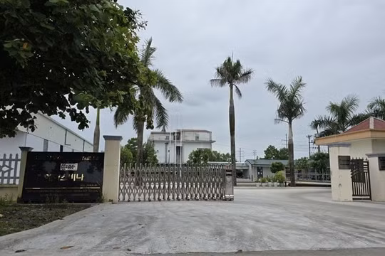Ninh Bình: Công ty TNHH ACE Vina Trading bị xử phạt 130 triệu đồng vì xây dựng trái phép