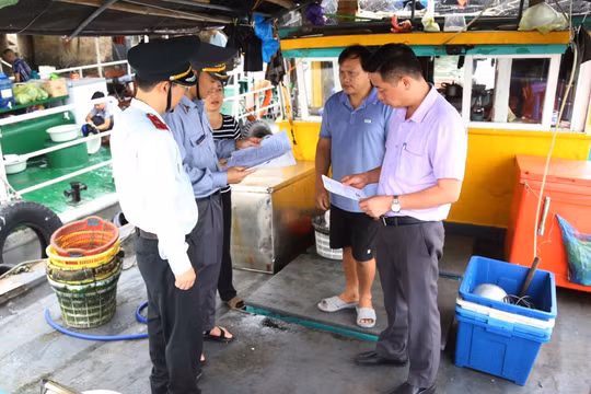 Năm 2024, Quảng Ninh có 282 trường hợp vi phạm trong lĩnh vực khai thác thủy sản