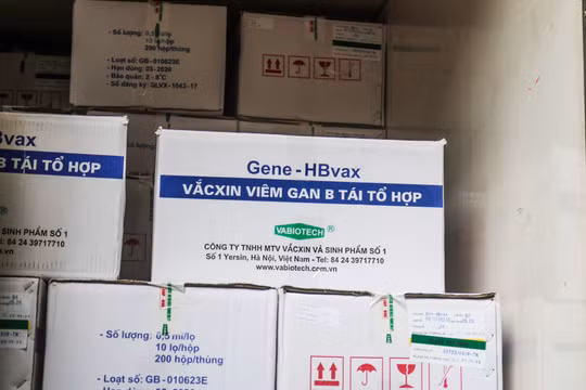Đã hoàn thành đặt hàng mua 10 loại vắc xin cho tiêm chủng mở rộng