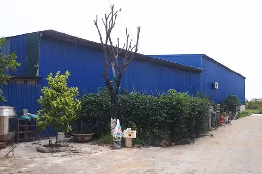 Bắc Ninh: Có gần 9.500 lô đất giao không đúng thẩm quyền tại huyện Yên Phong