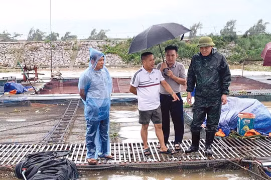 Bắc Ninh: Khẩn trương thực hiện các giải pháp khôi phục sản xuất chăn nuôi, thủy sản sau bão