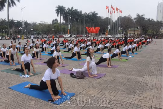 Hơn 500 người đồng diễn tại Festival Yoga tỉnh Hà Nam năm 2024