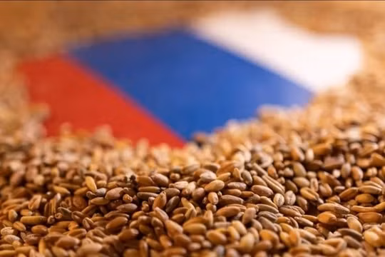 Nga sẽ đàm phán với Thổ Nhĩ Kỳ về giải pháp thay thế cho thỏa thuận Biển Đen