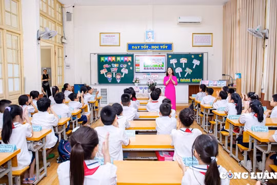 Hải Phòng: Học sinh, sinh viên được nghỉ học từ ngày 07/9/2024 cho đến khi bão tan