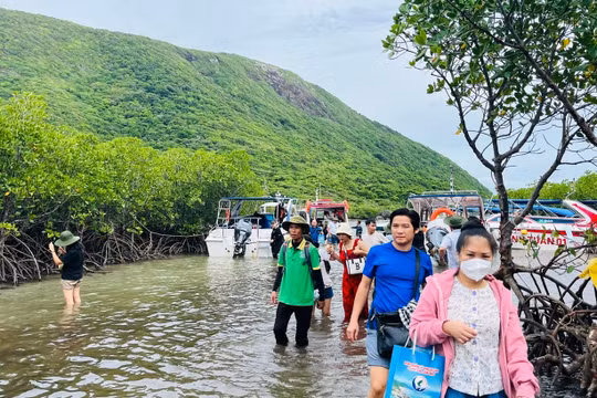 Du lịch Việt Nam hướng tới Net Zero: Chuyển đổi xanh kiến tạo tương lai bền vững