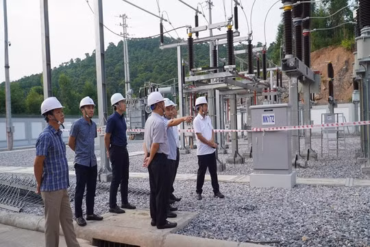 Tổng công ty Điện lực miền Bắc sẵn sàng các phương án phòng chống bão Yagi