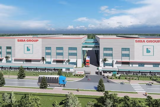 Lợi nhuận giảm 39%, Siba Group (SBG) phải bán 11,5 triệu cổ phiếu lấy tiền thanh toán công nợ