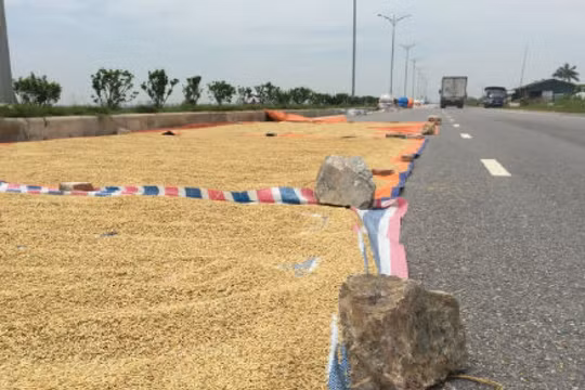 Hà Nam: Cảnh báo nguy cơ mất an toàn giao thông do đốt rơm rạ, phơi thóc trên các tuyến đường