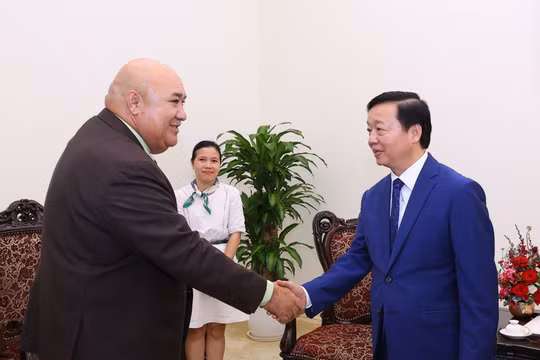 Việt Nam mong muốn WHO hỗ trợ tái cấu trúc và củng cố hệ thống y tế cơ sở