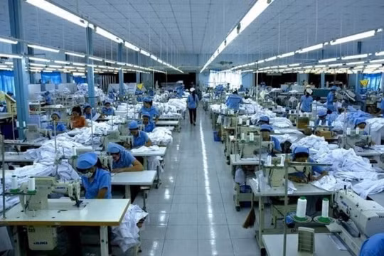 Gilimex (GIL) chậm kế hoạch năm 2024, nộp gần 4 tỷ đồng do vi phạm về thuế