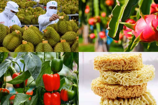 EU đưa vào diện kiểm soát 5 mặt hàng nông sản, thực phẩm của Việt Nam