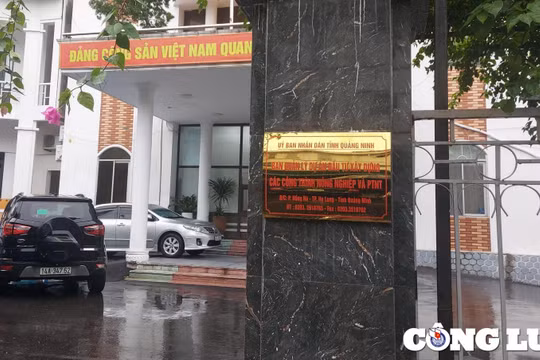Quảng Ninh: ''Bất nhất'' số liệu trong hợp đồng tương tự, Công ty Thanh Phong cùng liên danh vẫn trúng gói thầu gần 600 tỉ đồng