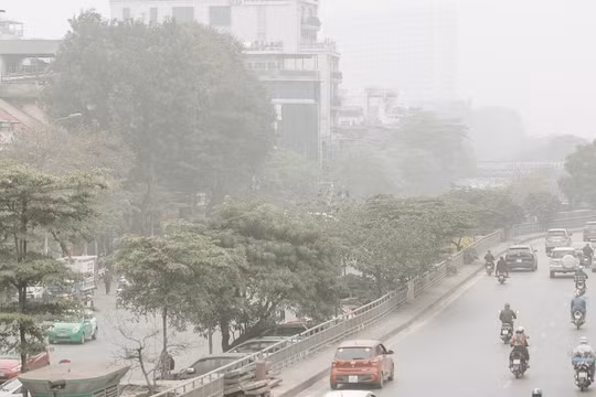 Dự báo thời tiết ngày 4/12: TP HCM sương mù, có mưa to diện rộng