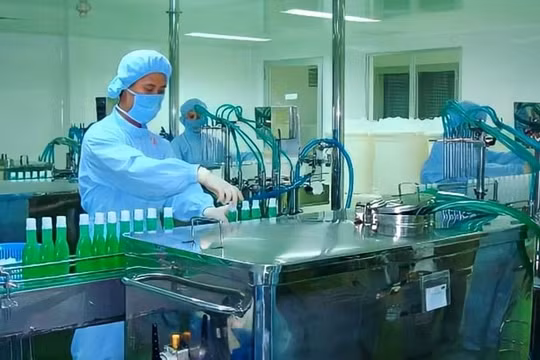 Dược phẩm Dược liệu Pharmedic (PMC) doanh thu sụt giảm vẫn trả cổ tức tỷ lệ 109%