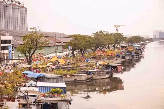 Gần 700 gian hàng tại Chợ hoa xuân 'Trên bến dưới thuyền' Tết Ất Tỵ