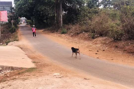 Gia Lai: Người đàn ông tử vong sau 2 tháng bị chó cắn vào tay