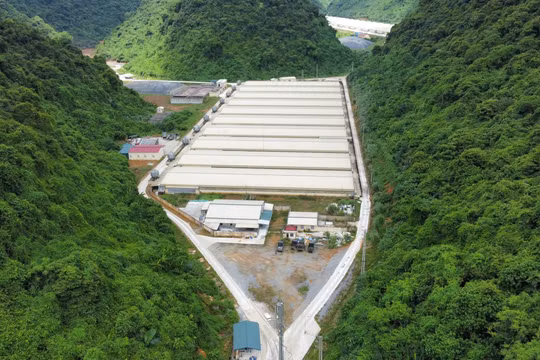 Thanh Hóa: Người dân bức xúc vì trang trại nuôi heo bốc mùi hôi thối