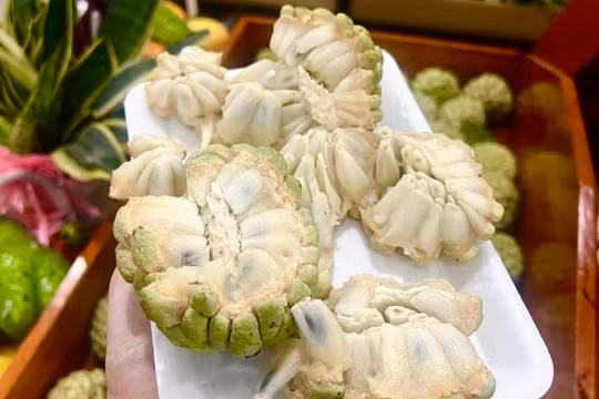 Loại quả từng bị lãng quên nay lại được săn đón, giá 200.000 đồng/kg vẫn 'cháy' hàng
