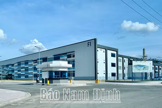 Nam Định: Bình quân một tháng có 159 doanh nghiệp thành lập mới và quay trở lại hoạt động