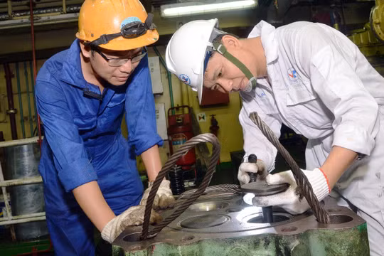 Đăng kiểm viên tàu biển có thể chuyển đổi sang đăng kiểm phương tiện thủy nội địa
