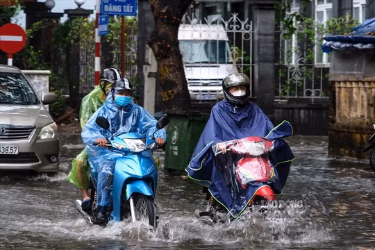 Dự báo thời tiết ngày 22/11: Khu vực từ Quảng Trị đến Bình Định có mưa vừa, mưa to