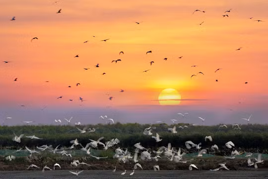 Long An miễn giảm phí vào cổng nhiều điểm du lịch
