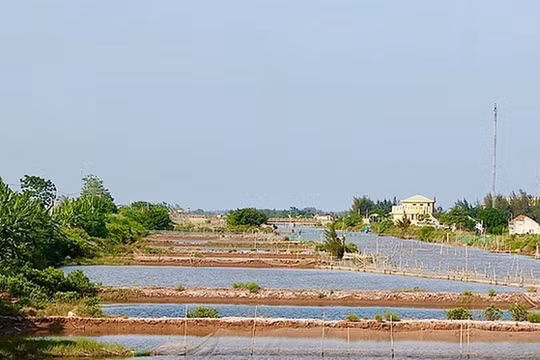 Nam Định: Thu hồi hơn 21.000m2 đất Cồn Xanh do vi phạm