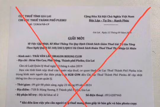Gia Lai: Mạo danh cán bộ, cơ quan thuế để lừa đảo, chiếm đoạt tài sản