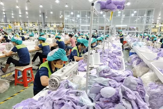 Thái Bình: Cấp gần 600 giấy chứng nhận đăng ký doanh nghiệp với tổng vốn hơn 5.800 tỷ đồng