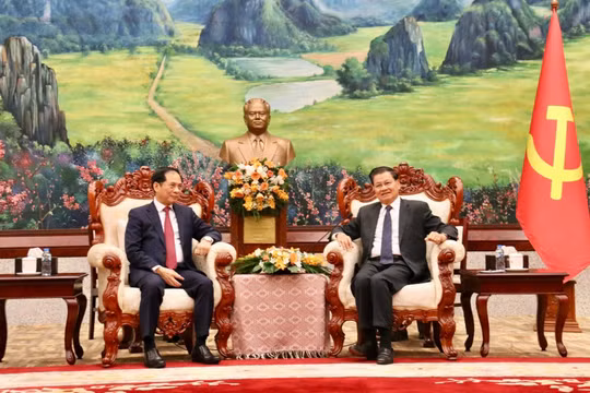 Phó Thủ tướng, Bộ trưởng Bộ Ngoại giao Bùi Thanh Sơn hội kiến lãnh đạo cấp cao Lào