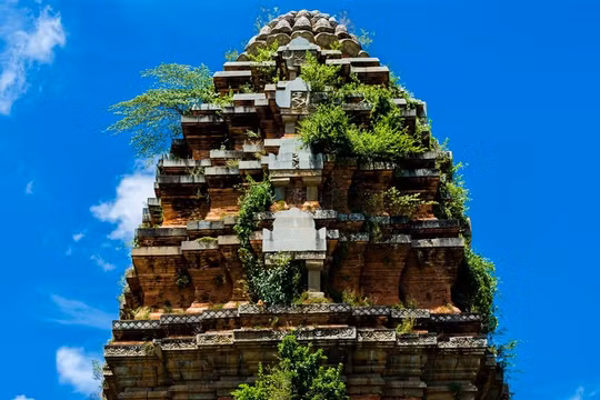 Bình Định chi hơn 93 tỉ đồng tu bổ, tôn tạo tháp Dương Long