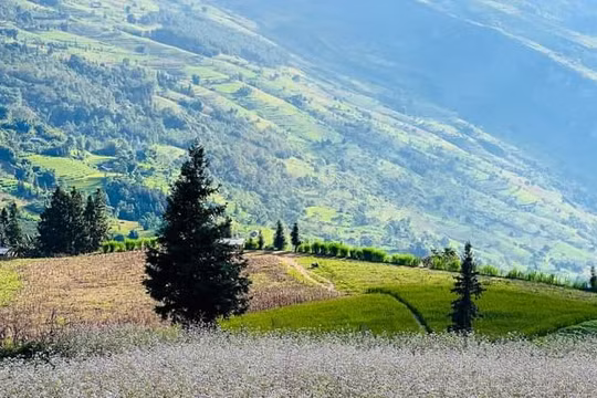 Thảo nguyên Suôi Thầu - “Trời Âu” ngay giữa lòng Hà Giang
