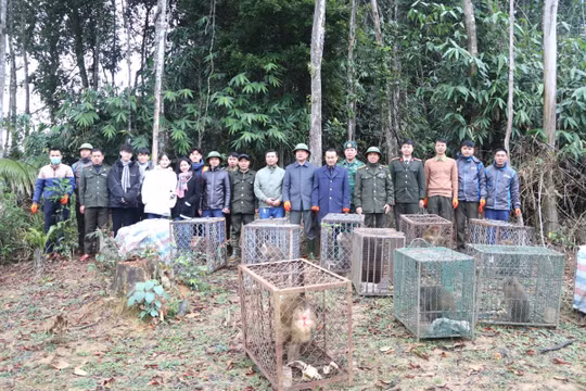 Tái thả 30 thú hoang dã sau cứu hộ ở Sa Pa vào Vườn quốc gia Vũ Quang