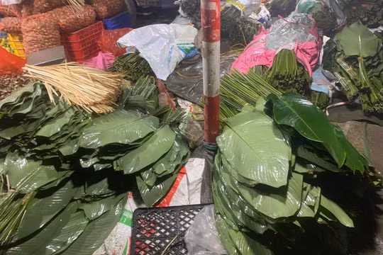 Cận Tết, lá dong khan hiếm tại chợ, giá cao gấp 3 vẫn không đủ hàng bán