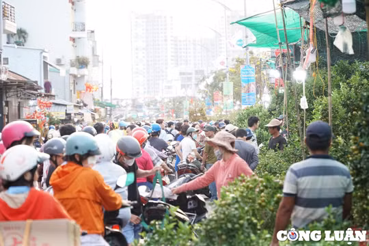 TP HCM: Chợ Hoa xuân 'Trên bến dưới thuyền' vẫn hút khách ngày cận Tết